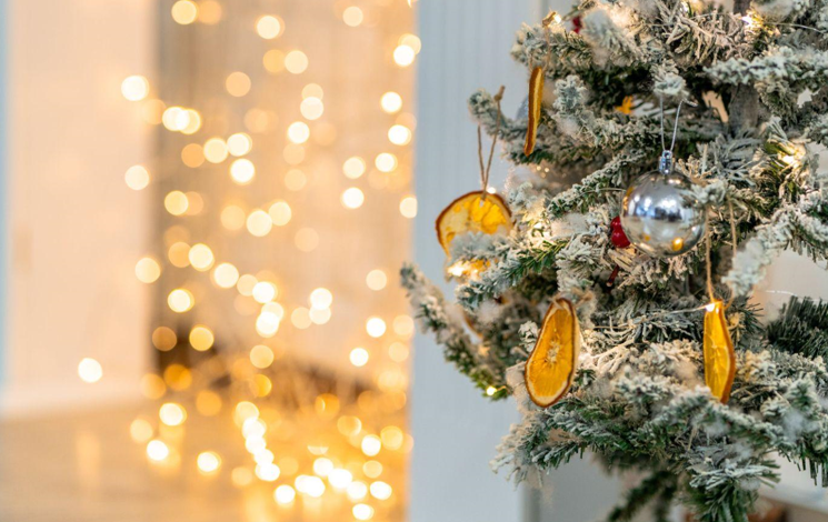 The Best Christmas Trees for Your Health-Conscious Home